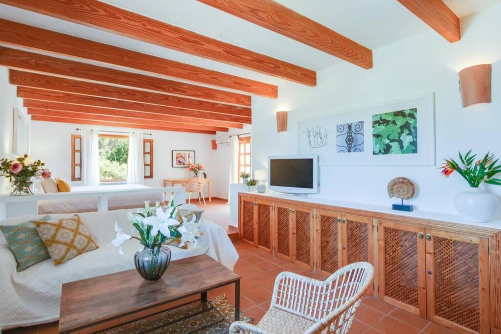 Finca Pintxito Holiday home *